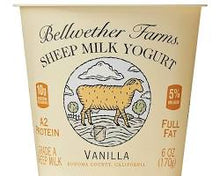 Wholesale Bellwether Farms Sheep Milk Yogurt - Vanilla 6 Ounce- Bulk