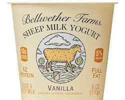 Wholesale Mccadam X-Sharp Yellow Exct Weightx- Bulk