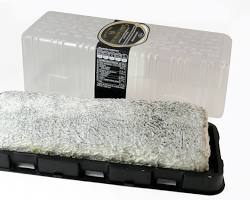 Wholesale Balanchares Ceniza Rulo Goat 8/800G (P) 800 G- Bulk