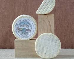 Wholesale Langa Truffolina 6/220G (P) 220 G- Bulk
