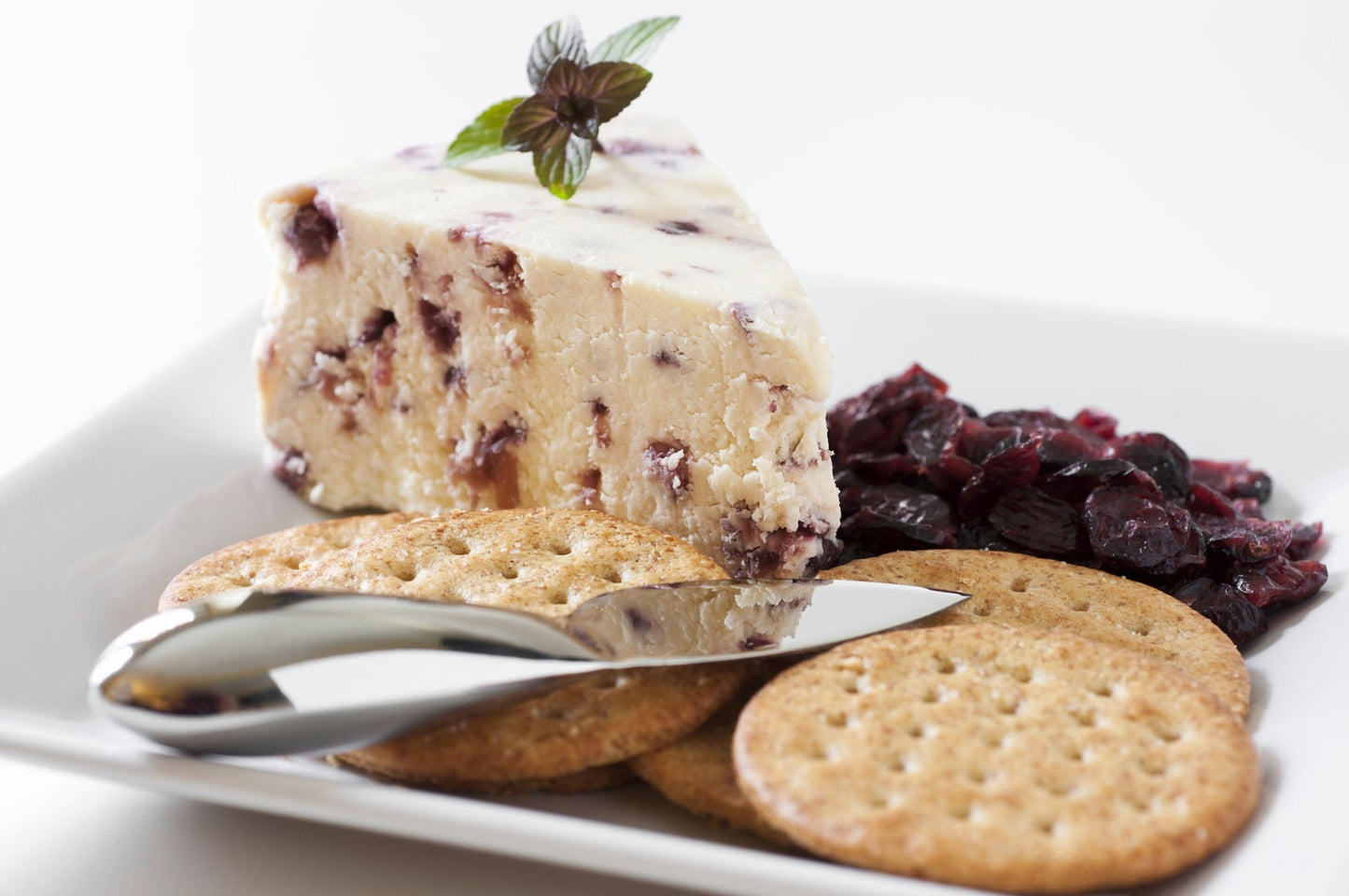 Wholesale Mandi Foods / British Food Importers White Stilton with Cranberries 2.5 LB- Bulk