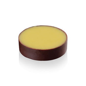 Wholesale La Rose Noire Chocolate Shells with Assorted Fruit Filling- Bulk