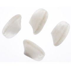 Wholesale Principato Di Lucedio Rice Carnaroli 5 Kg- Bulk