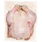 Wholesale Freebird Chicken Antibiotic-Free Marinated Balducenter-Cuti Chicken Wog- Bulk
