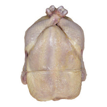 Wholesale Freebird Chicken Antibiotic Free Whole Trussed Chicken 3lb- Bulk