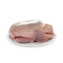 Wholesale Jurgielewicz Duck Whole Li 5# &Up- Bulk