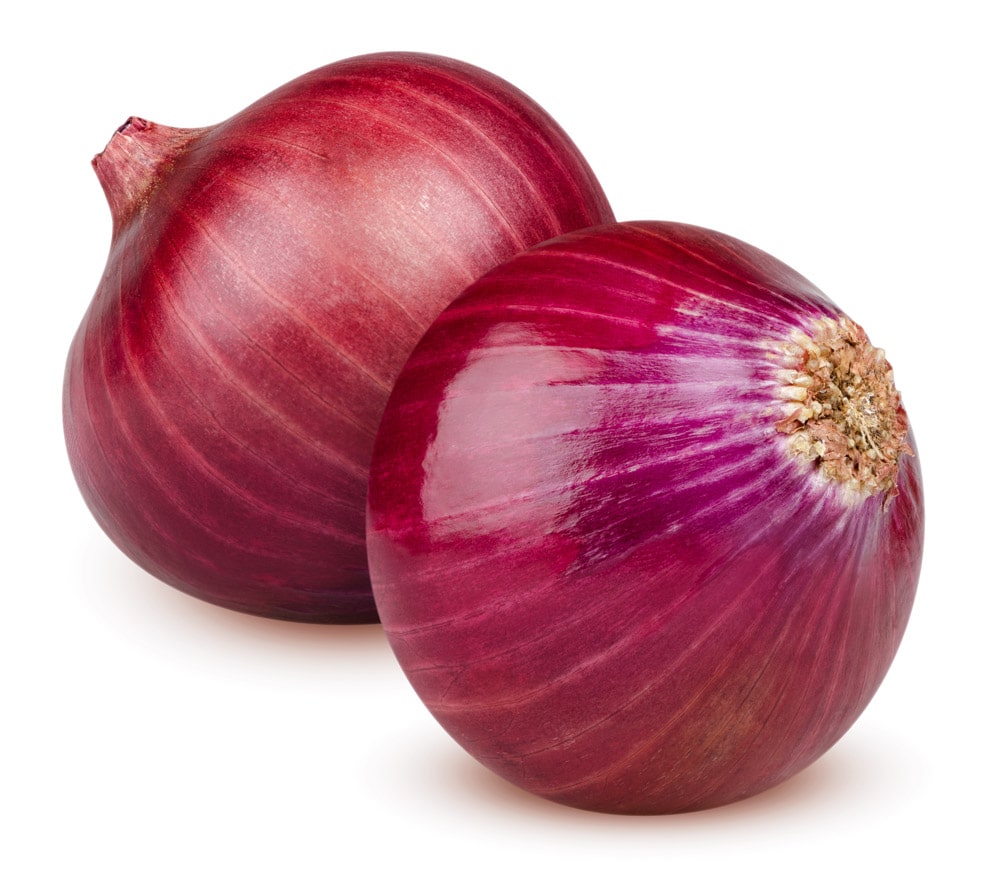Wholesale Aceendico Case Jumbo Red Onions- Bulk