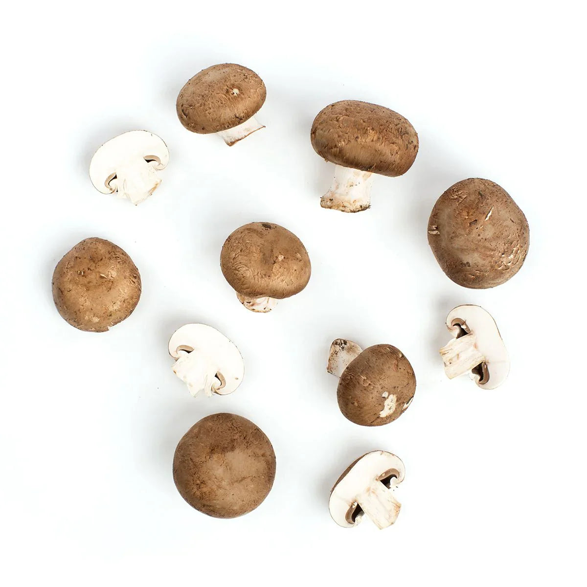 Wholesale Phillips Case Crimini Mushroom- Bulk