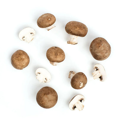 Wholesale Phillips Case Crimini Mushroom- Bulk