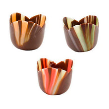 Wholesale Chocoa Pastel Petit Four Tulip- Bulk