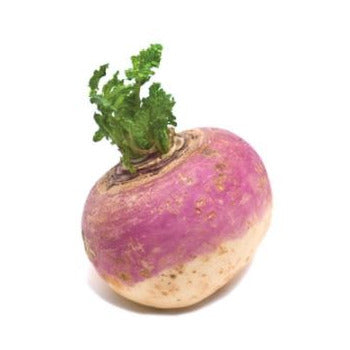 Wholesale Dix Farms Turnips 25lb- Bulk