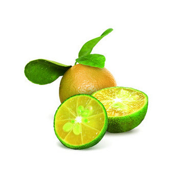 Wholesale La Fruitiere Kalamansi Puree 1kg- Bulk