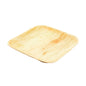 Wholesale BoxNCase 6" Palm Plate- Bulk