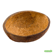 Wholesale Restaurantware Round Natural Coconut Shell Bowl - 3.5" X 4" X 1.5"- Bulk