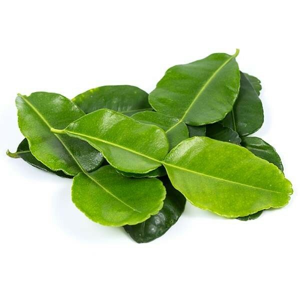 Wholesale Dix Farms Fresh Lime Makrut 8oz- Bulk