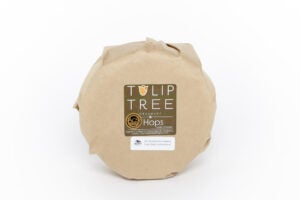 Wholesale Tulip Tree Hops 4.4#- Bulk