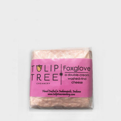 Wholesale Tulip Tree Foxglove 8Oz- Bulk