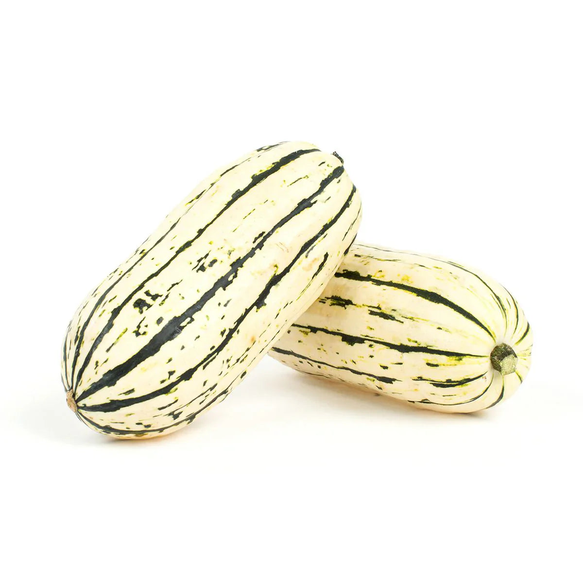 Wholesale BoxNCase Case Delicata Squash- Bulk