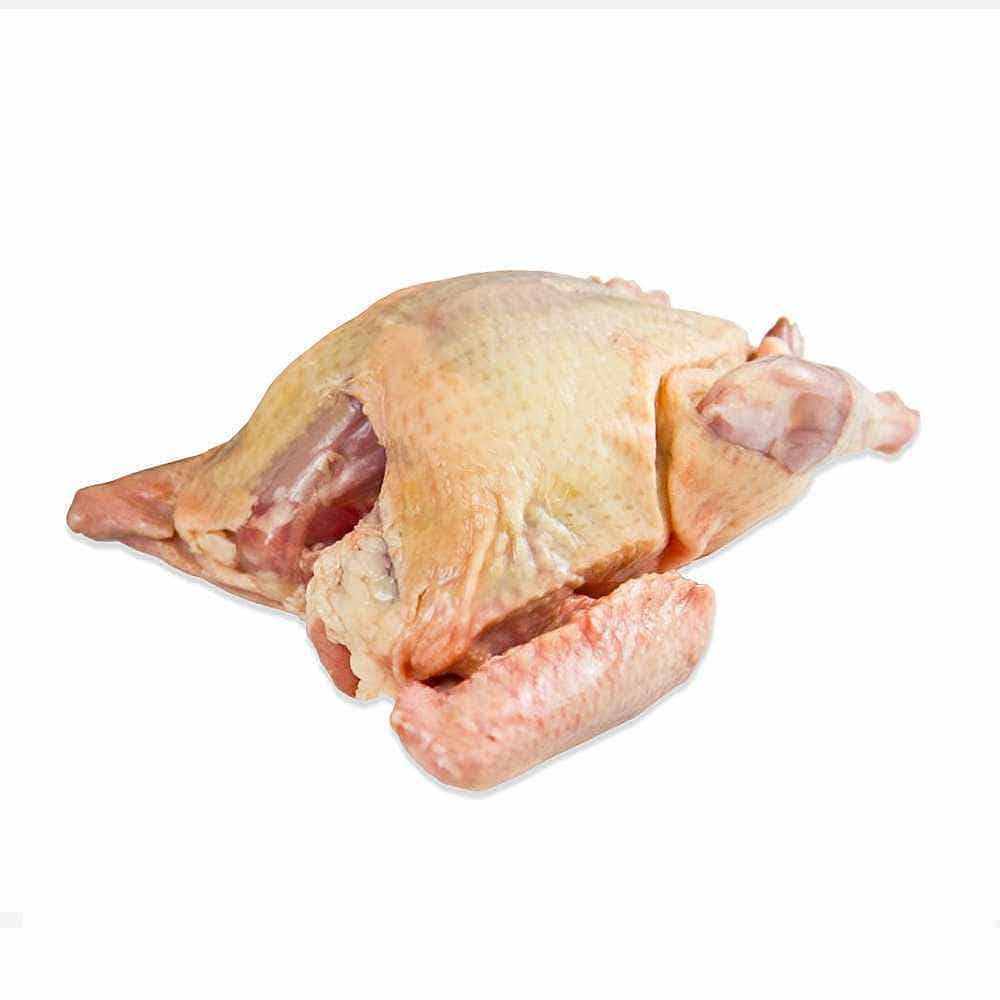 Wholesale Palmetto Pigeon Whole Squab 13 Oz- Bulk