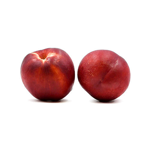 Wholesale Dix Farms White Nectarines- Bulk