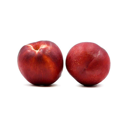 Wholesale Dix Farms White Nectarines- Bulk