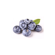 Wholesale Local Farm Local Fresh Blueberries- Bulk