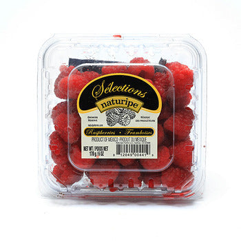 Wholesale BoxNCase Raspberries 6oz- Bulk