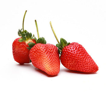Wholesale Dix Farms Strawberries with Stems 1lb- Bulk