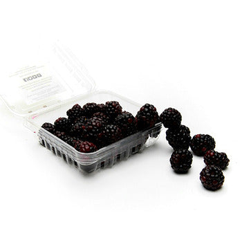 Wholesale BoxNCase Blackberries 6oz- Bulk