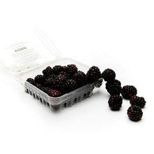 Wholesale BoxNCase Blackberries 6oz- Bulk
