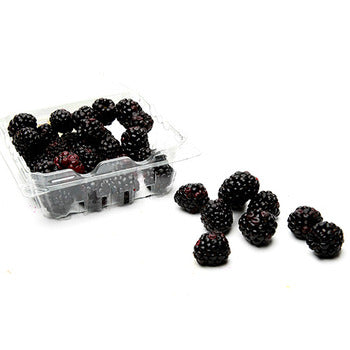 Wholesale Driscoll's Blackberries 6oz- Bulk