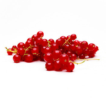 Wholesale Dix Farms Red Currants- Bulk