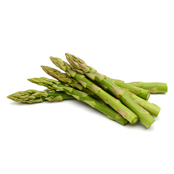 Wholesale Dix Farms Standard Asparagus 11lb- Bulk