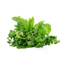 Wholesale Dix Farms Broccoli Rabe- Bulk