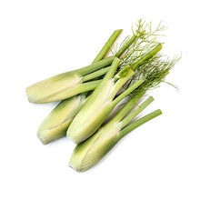Wholesale Dix Farms Baby Anise Fennel- Bulk