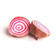 Wholesale Dix Farms Cut Chiogga Beets 25lb- Bulk