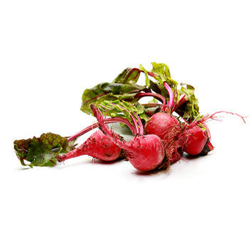 Wholesale Dix Farms Fresh Beet Chiogga Baby Bnch- Bulk