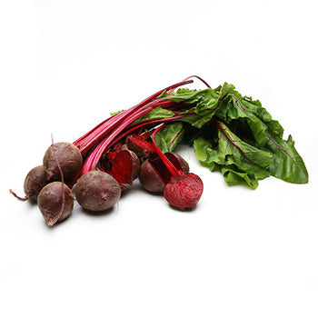 Wholesale Dix Farms Baby Bunched Red Beets- Bulk