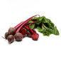 Wholesale Dix Farms Baby Bunched Red Beets- Bulk