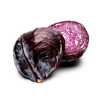 Wholesale Dix Farms Red Cabbage- Bulk