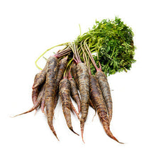 Wholesale Dix Farms Fresh Carrot Baby Bunched Purple- Bulk