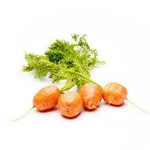 Wholesale Dix Farms Baby Bunched Round Carrots- Bulk