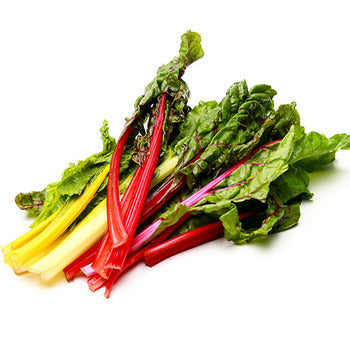 Wholesale Dix Farms Bunched Rainbow Swiss Chard- Bulk