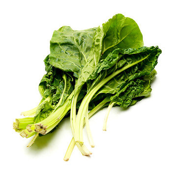 Wholesale Dix Farms Bunched Green Swiss Chard- Bulk