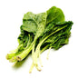 Wholesale Dix Farms Bunched Green Swiss Chard- Bulk