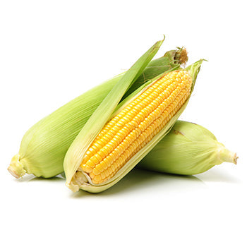 Wholesale Dix Farms Sweet Corn- Bulk