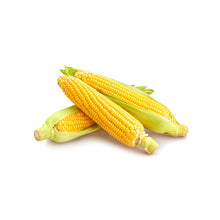 Wholesale Local Farm Sweet Corn, Local- Bulk
