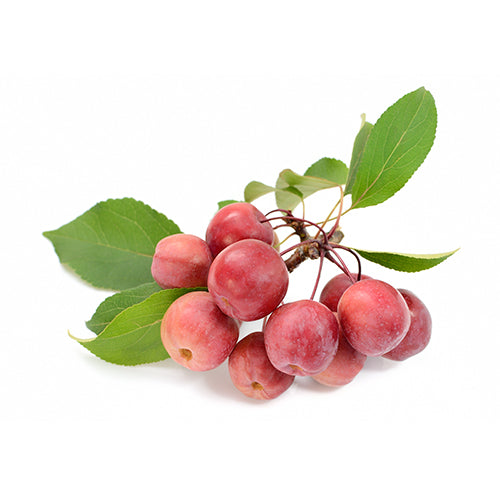 Wholesale Dix Farms Crab Apples 10lb- Bulk