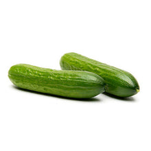 Wholesale Dix Farms Mini Persian Cucumbers 20lb- Bulk