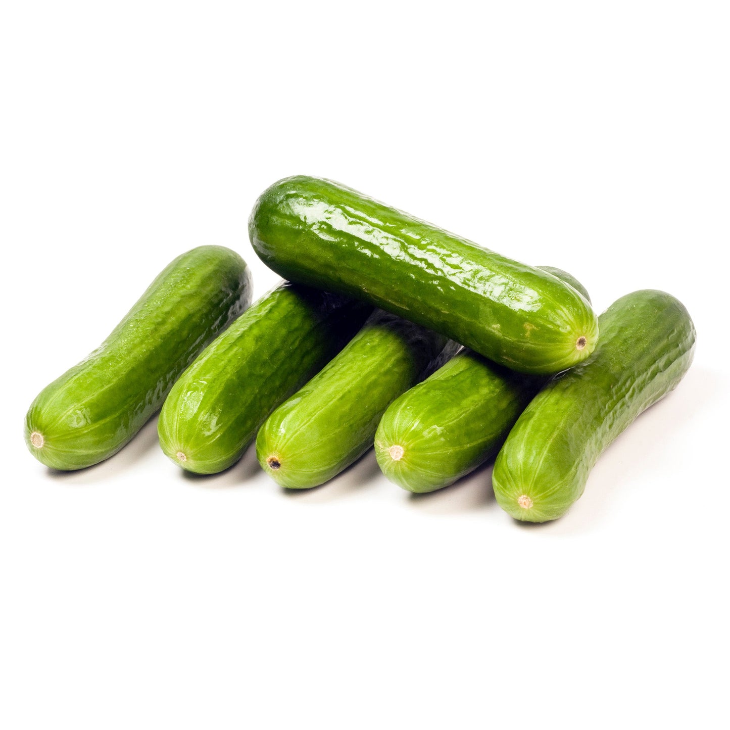 Wholesale Dix Farms Fresh Cucumbers Mini Persian- Bulk